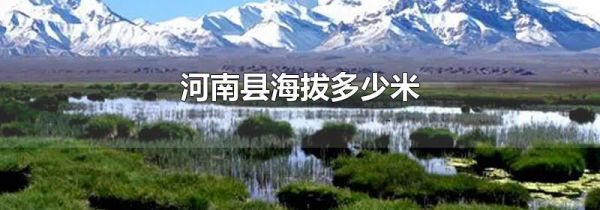 河南县海拔多少米