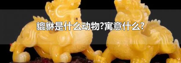 貔貅是什么动物?寓意什么?