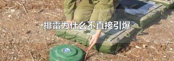 排雷为什么不直接引爆