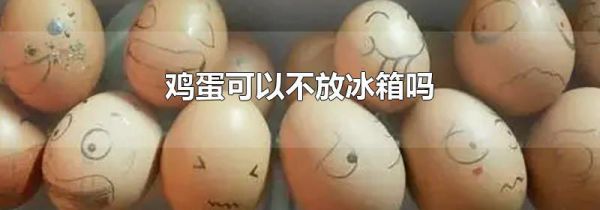鸡蛋可以不放冰箱吗