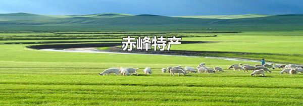 赤峰特产
