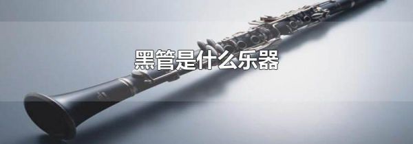 黑管是什么乐器