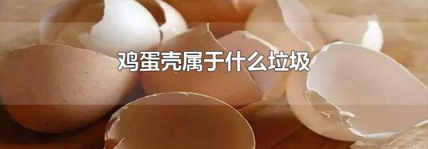 鸡蛋壳属于什么垃圾
