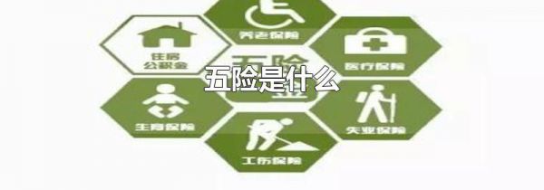 五险是什么