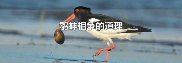 鹬蚌相争的道理