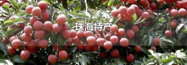 珠海特产