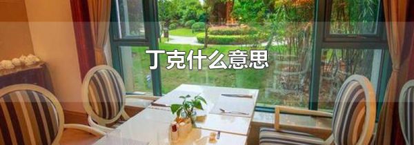 丁克什么意思