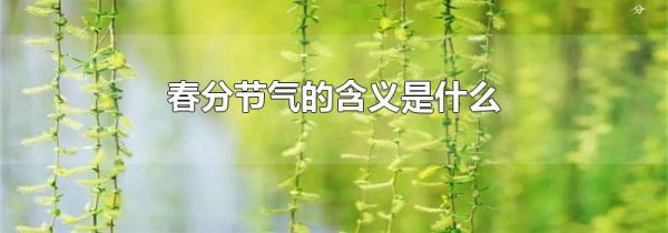 春分节气的含义是什么