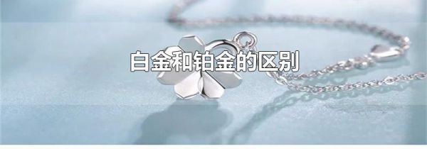 白金和铂金的区别