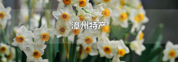 漳州特产