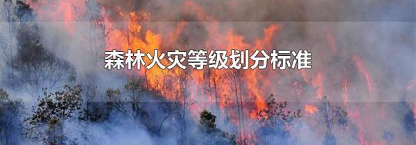 森林火灾等级划分标准