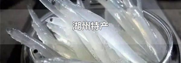湖州特产
