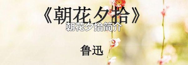 朝花夕拾简介