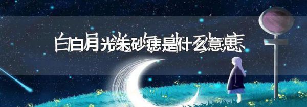白月光朱砂痣是什么意思