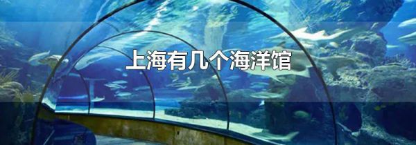 上海有几个海洋馆
