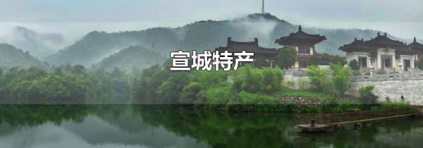 宣城特产