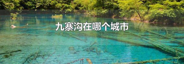 九寨沟在哪个城市