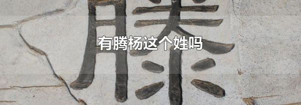 有腾杨这个姓吗