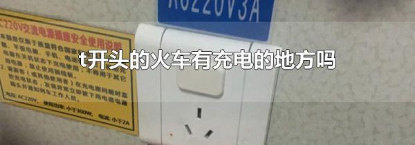 t开头的火车有充电的地方吗