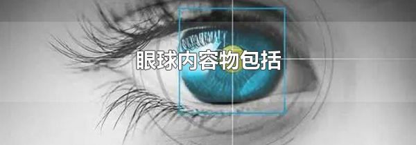 眼球内容物包括