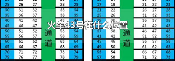 火车43号在什么位置