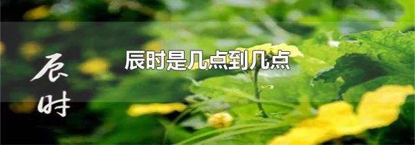 辰时是几点到几点