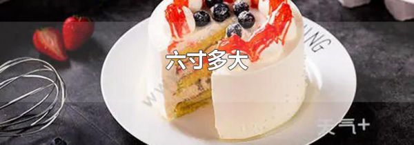 六寸多大