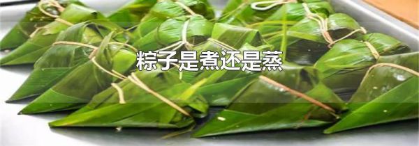粽子是煮还是蒸