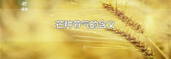芒种节气的含义
