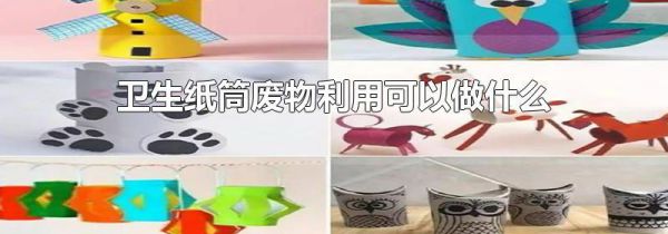 卫生纸筒废物利用可以做什么