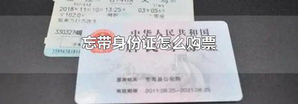 忘带身份证怎么购票