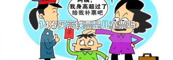 14岁买高铁票是儿童票吗