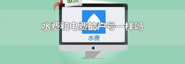 水费和电费的户号一样吗
