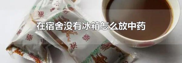 在宿舍没有冰箱怎么放中药