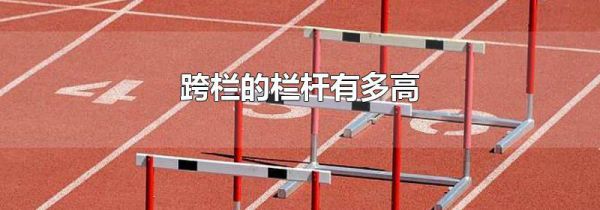 跨栏的栏杆有多高