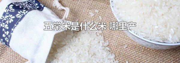 五常米是什么米 哪里产
