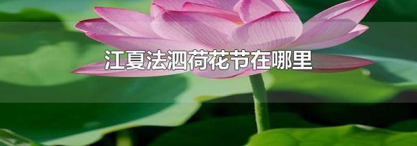 江夏法泗荷花节在哪里