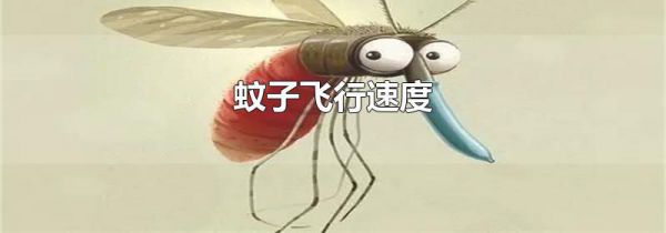 蚊子飞行速度