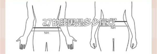 27的腰围是多少厘米