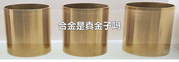 合金是真金子吗