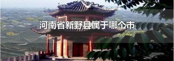 河南省新野县属于哪个市