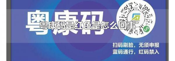 粤康码是红色是怎么回事