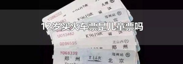 12岁买火车票是儿童票吗