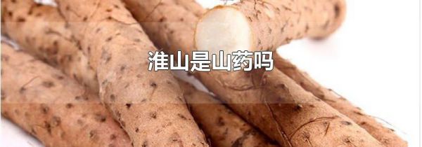 淮山是山药吗