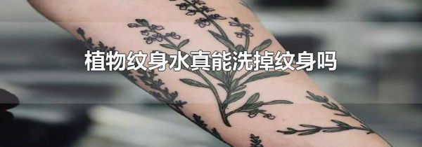 植物纹身水真能洗掉纹身吗