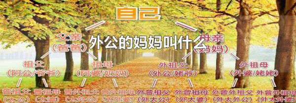 外公的妈妈叫什么