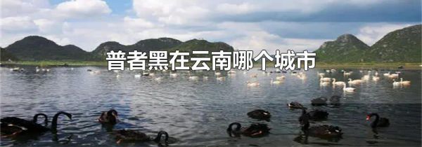 普者黑在云南哪个城市