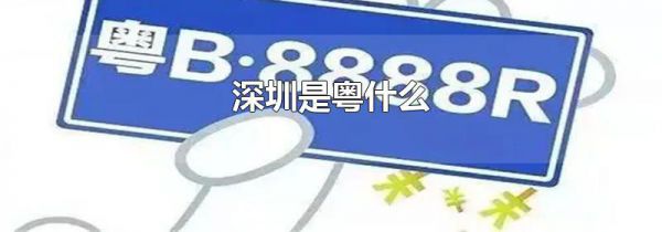 深圳是粤什么