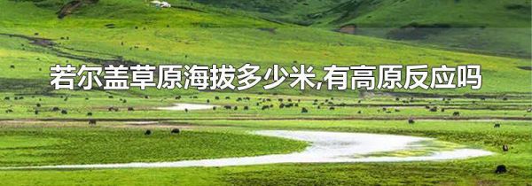 若尔盖草原海拔多少米,有高原反应吗