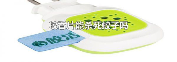 蚊香片能杀死蚊子吗